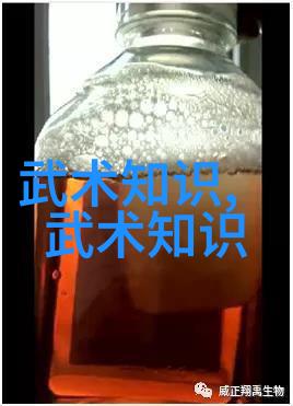 梦幻之境天籁盟约
