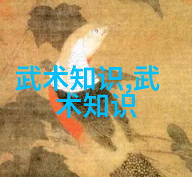 武术修炼境界划分每个层次都蕴藏着什么样的挑战