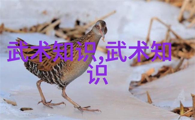 金庸笔下绝世神功排名-武林高手的巅峰之术金庸小说中最强绝世神功排行