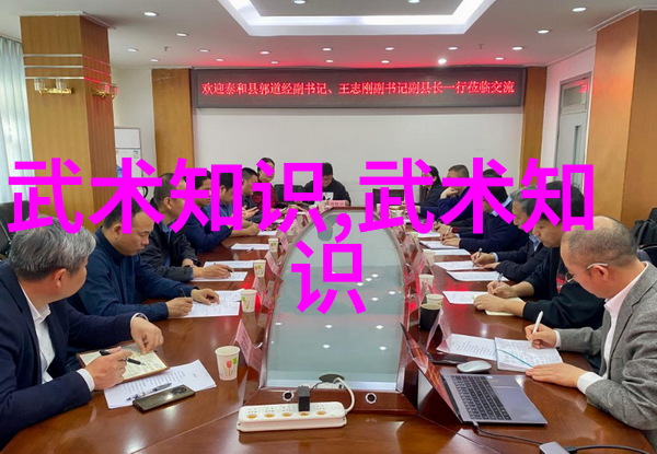 中国武术百年传承揭秘十大内功外化的奥秘与魅力
