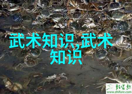 武林绝学探秘傅式形意内家拳的传人寻踪