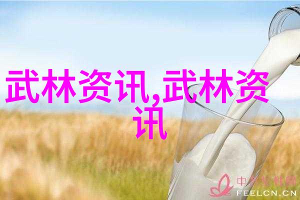 霸道宗岳太极拳震撼古董展场的响亮挑战