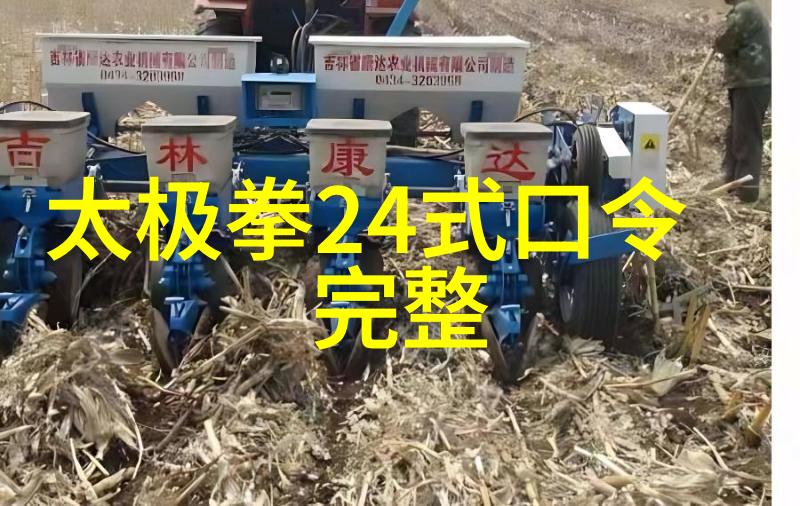 掌握绝学武功秘籍大全中的拳法精髓探究