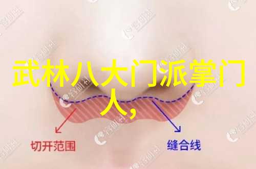 太极拳锻炼如同古代神功绝技连续弓步之路似登天梯一步一个台阶不断攀升至武术巅峰