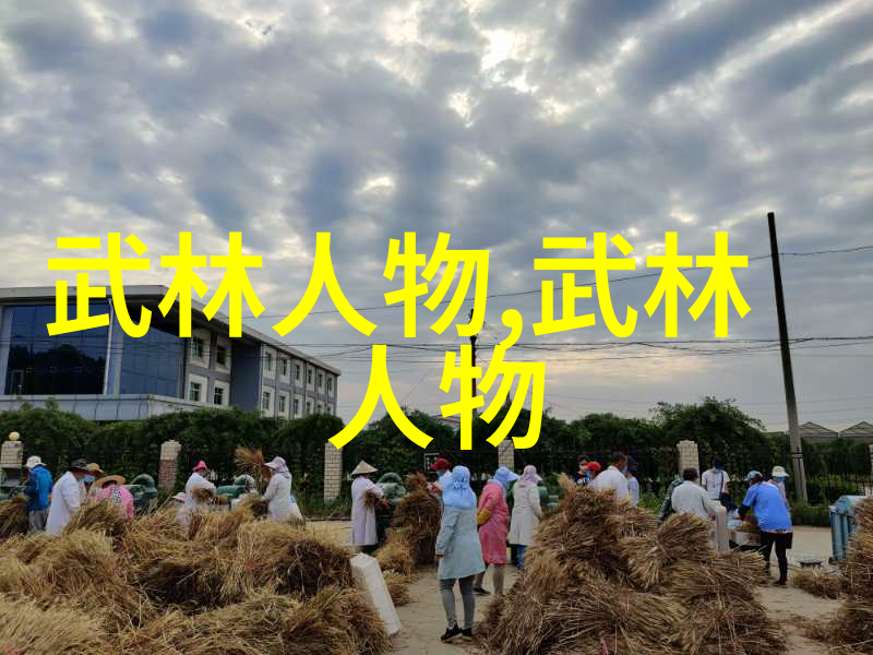 揭秘太极24式震脚技巧大公开