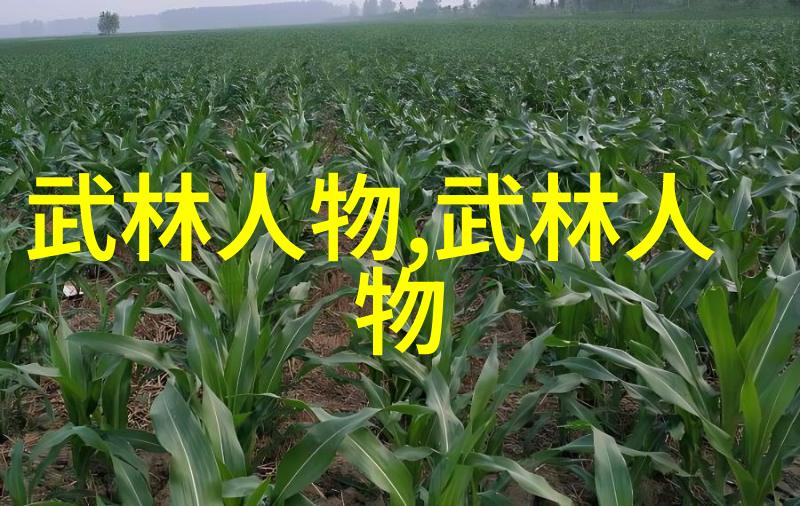 中国武术流派探秘清风徐来清拳传承
