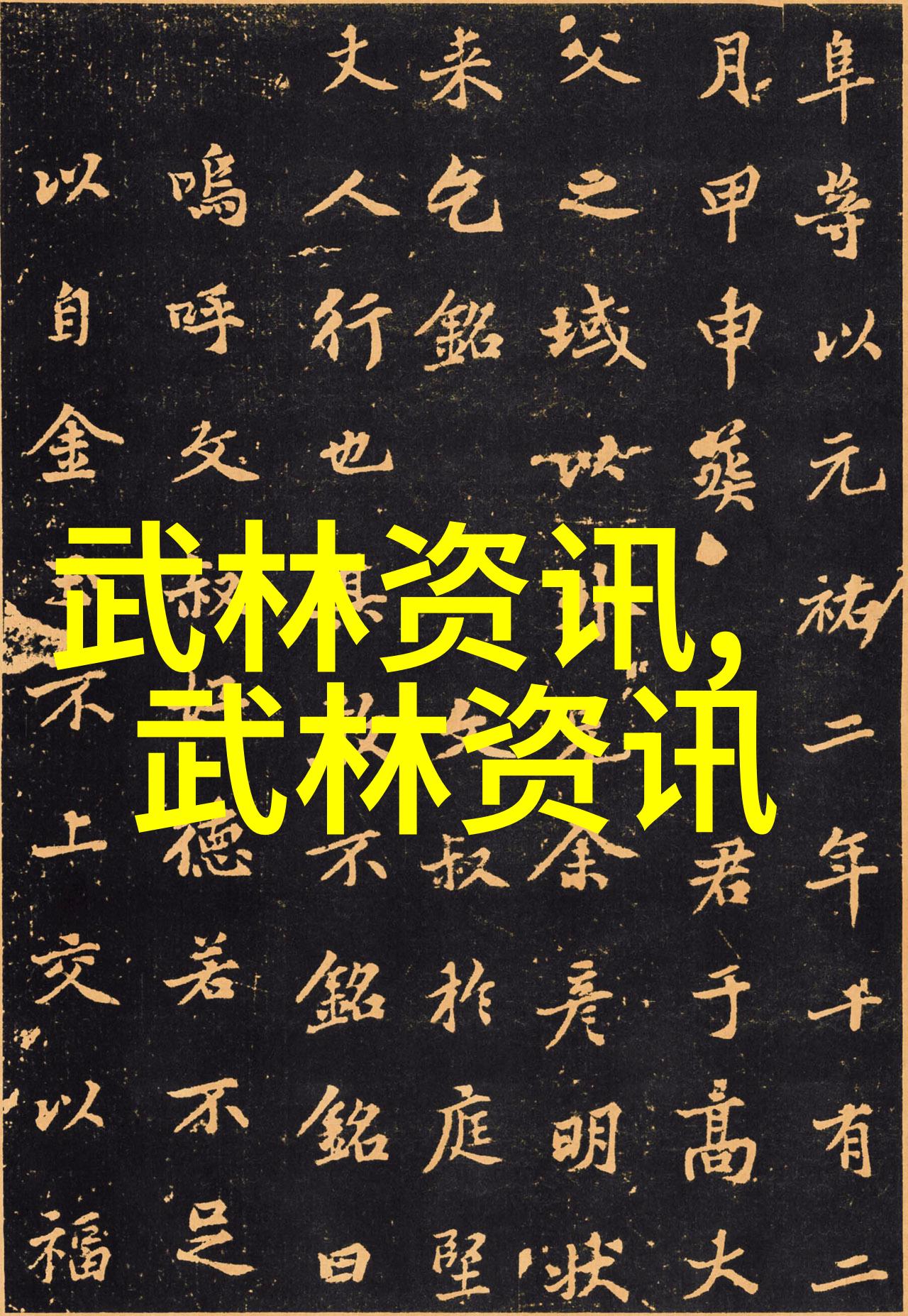 武术教程-精通内功揭秘武学中的气血运转法则