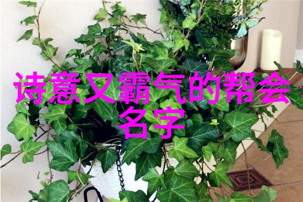 我们应该如何理解只有一种方式那是一种什么样的精神状态在面对千军万马时仍能保持绝对自信和超凡脱俗的心境