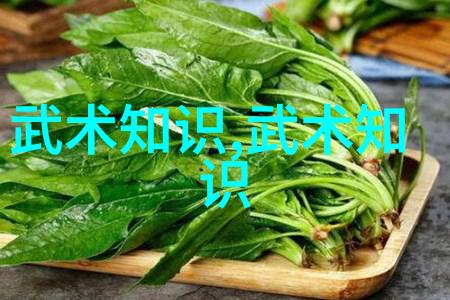 太极24式动作古老武术的精髓