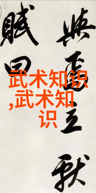 中华武林秘笈揭秘龙门派的奥秘