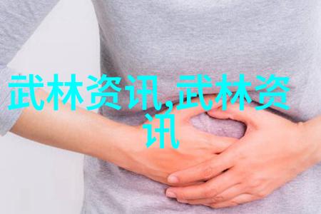 六大门派靠什么收入陈家小架太极拳