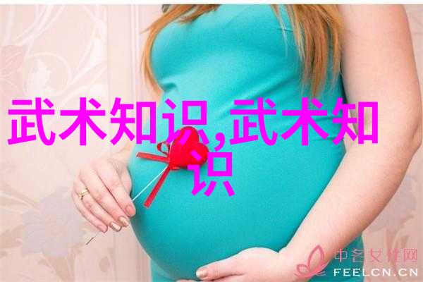 精髓解析简化24式太极拳分解教学全程指南
