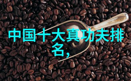 咏春拳全球十大帮派的自然之韵