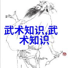春风不度拳法自在探秘咏春武学之谜