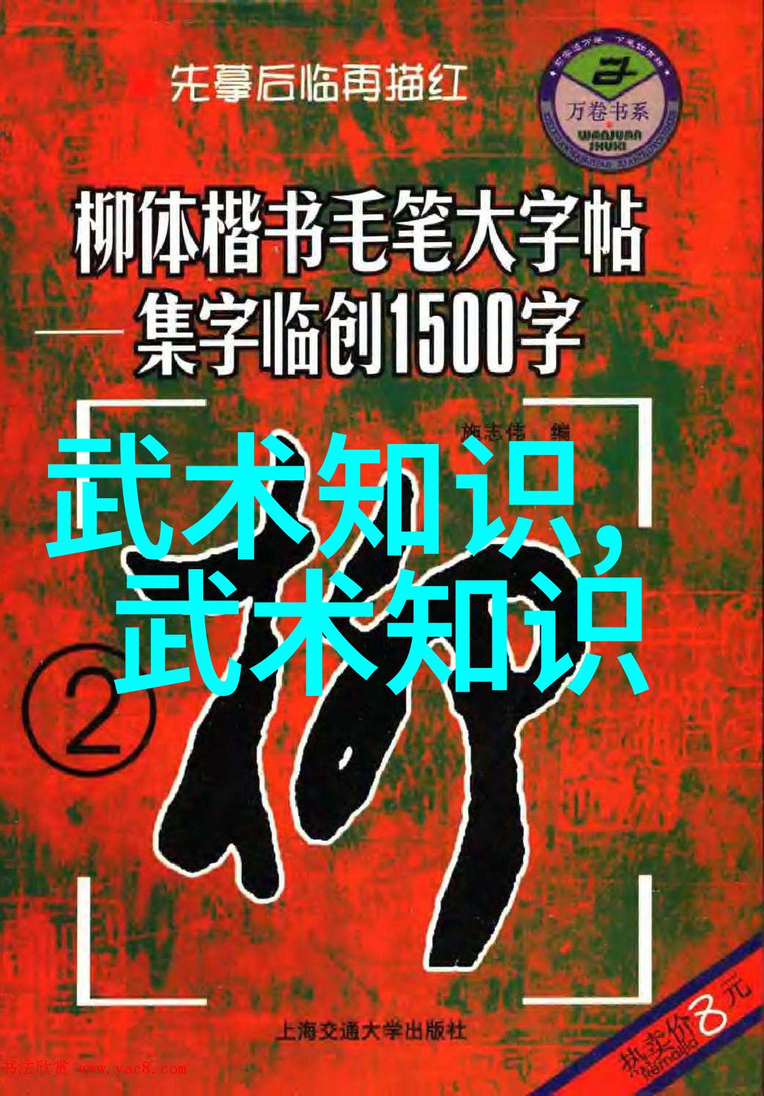 峨嵋派掌门通永江苏武林门派探秘