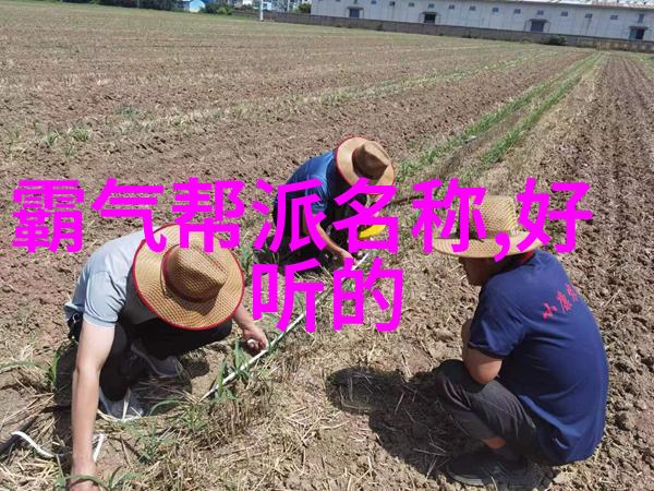 世间哪个名号能与君齐