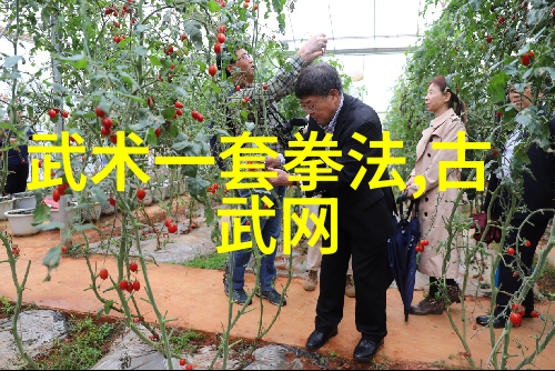 天地灵脉探究修仙门派各峰之谜
