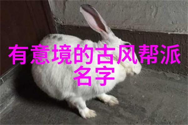 古风帮会云梦江湖志