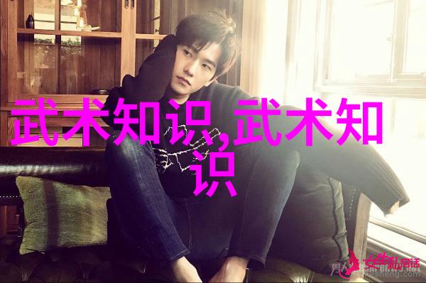 八三年武术风波打斗中探寻真功夫的秘密