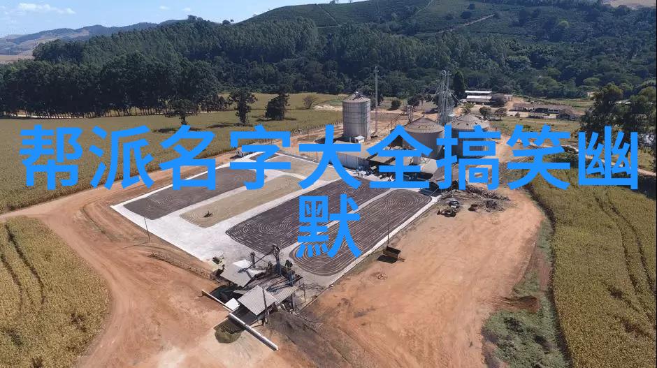 交响乐中的YAZHONGHU人与音乐的和谐共鸣