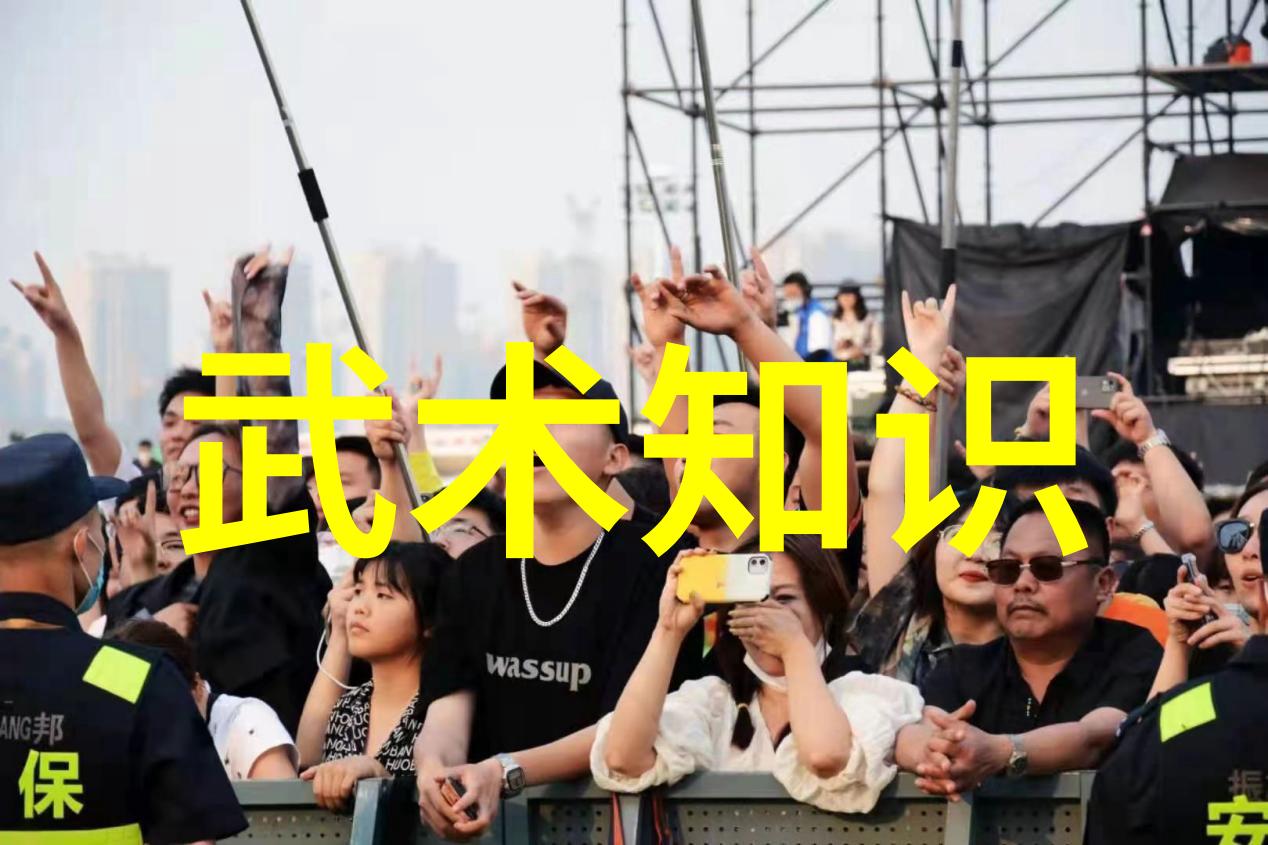 内丹术详解深入浅出剖析内丹修炼之道