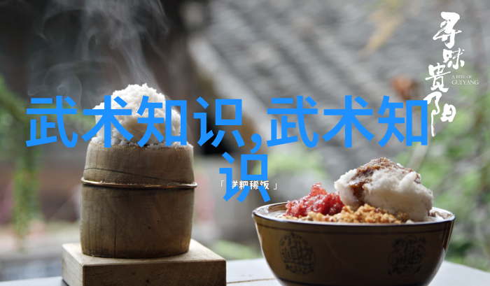 仙家秘笈陈家小架太极拳教你一招让人敬佩