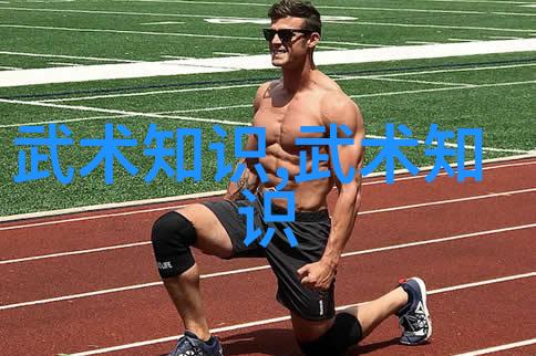 在日常生活中如何运用中国传统武术中的哲学理念来提高个人素质