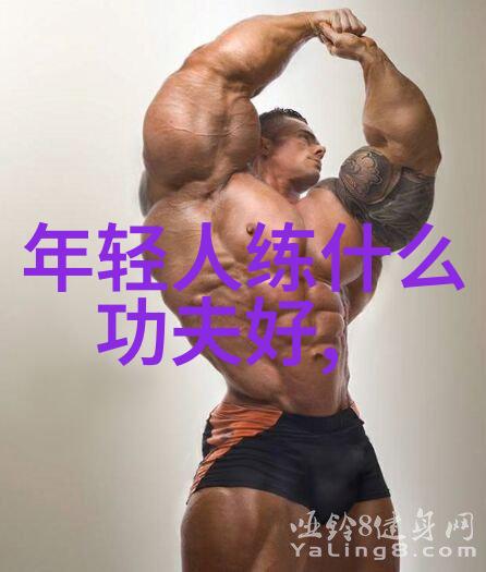 武林秘籍招式大全带图 - 探秘江湖绝技图解武学神功