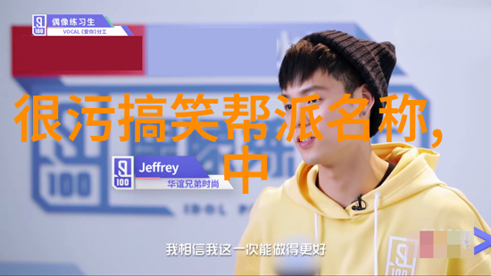 青春舞动秘籍青春绽放的舞蹈精髓