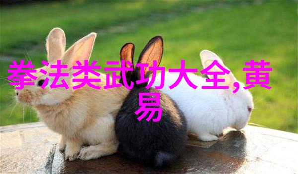 武林新秀一路向东的功夫梦想