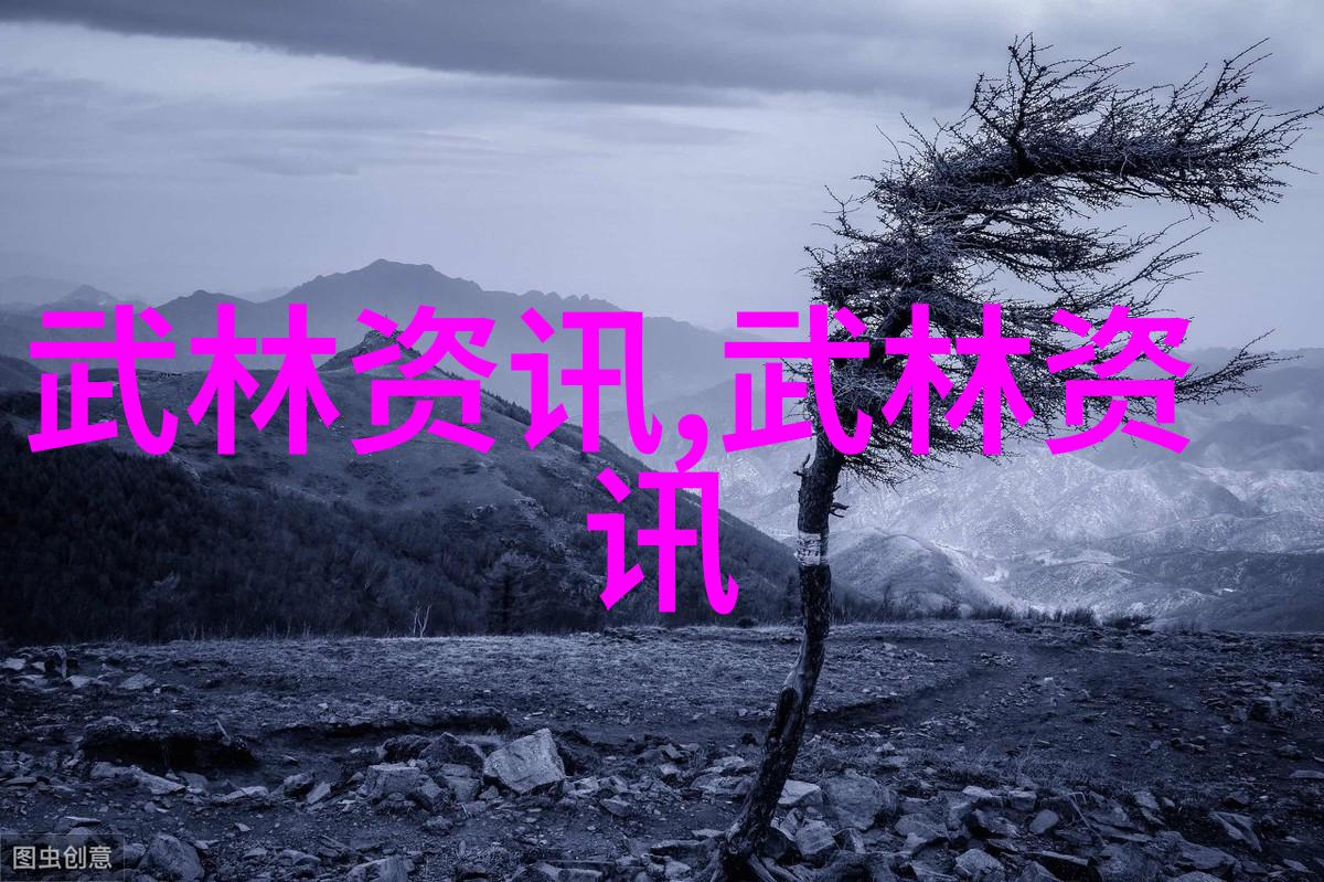 中国十大武术排行榜传统与实战的精英集结