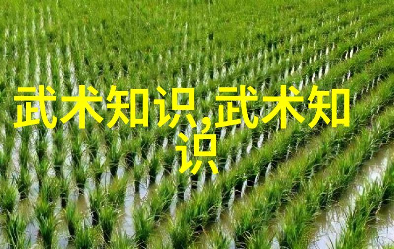 创新的支撑骨科医疗器械的发展与应用