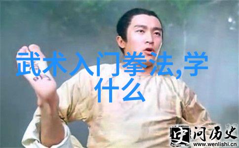 以师傅传授为基础以实践加深理解初学者的训练计划