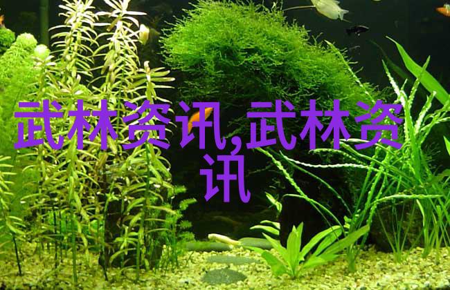 安徽之巅古老武林门派的传说