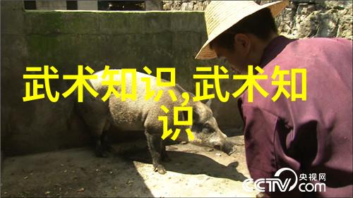 太极功夫秘籍揽天地之大道炼精华之内力