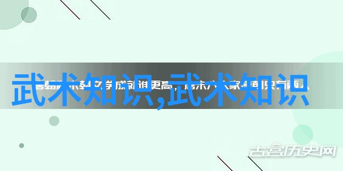中国十大最强武术之谜哪一门能让你身手如飞