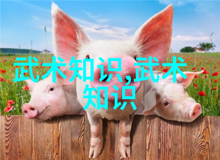 从射雕英雄传到笑傲江湖金庸笔下的绝世神功排名如何划分