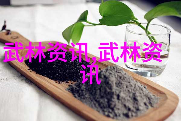 武林传说-揭秘武林十大门派的神秘名字与历史