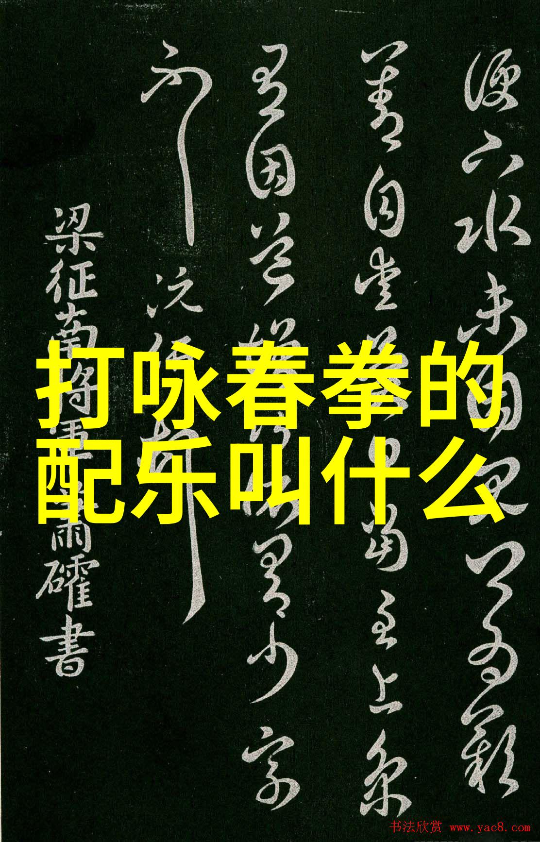 奥义体态秘传奥义中的精湛身法秘籍