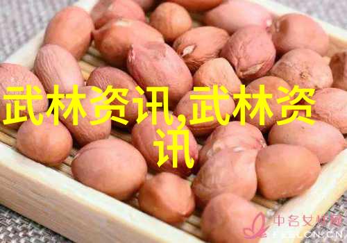 寒冰刺骨雪花舞 Blades深入浅出解读北方雪花剑术及其代表人物
