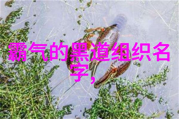 温州武坛首开寻宗之旅