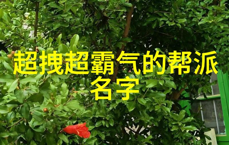 古云帮门派拳种汇极拳