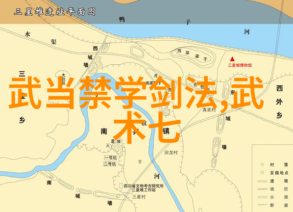太极拳如同一幅动态的画卷24式在师傅张绍义的手中展开每一个姿势都蕴含着深厚的内力和智慧正面背面的转换
