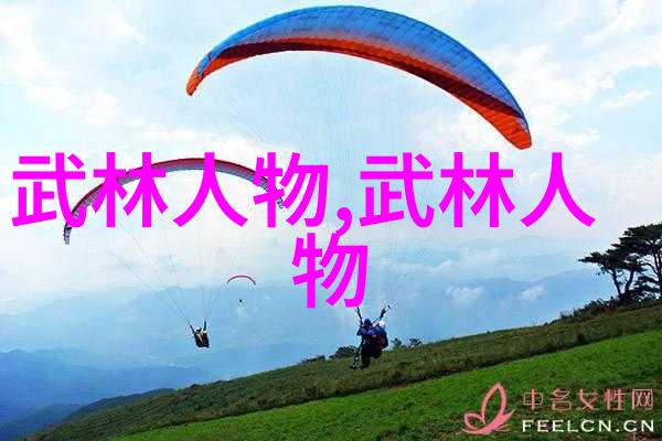 武功秘籍大全 拳法拳法精髓