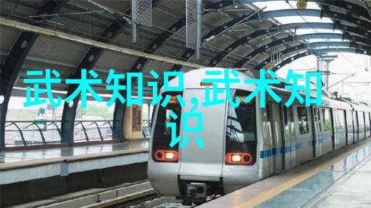 金庸武林中的架式之争杨式大架中架小架