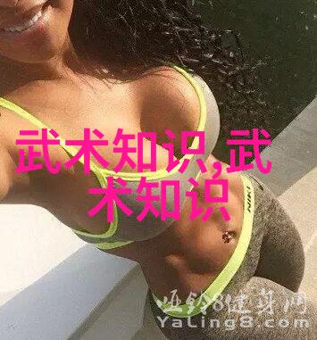 胡新朝探秘腰胯武学武林秘籍招式大全带图解人物训练法