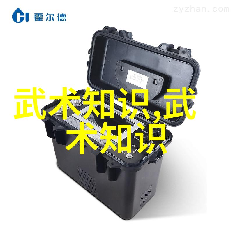 八大派中哪一派的武学体系最为完备