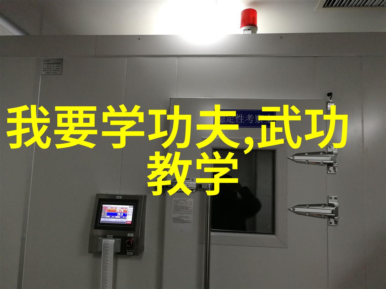 精巧与野性探讨怎样用两个字来塑造一股气势