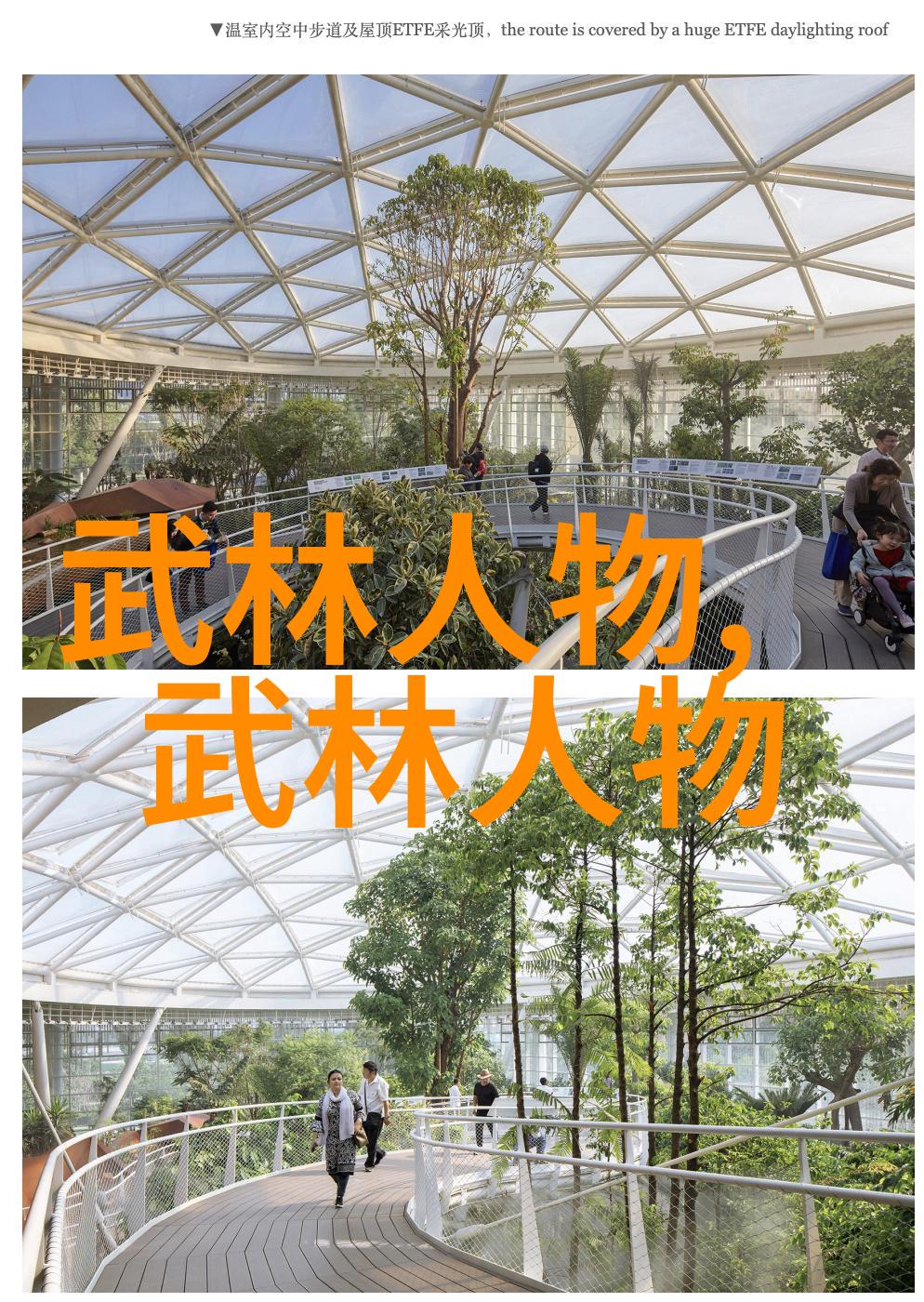 中国十大剑法-天下第一剑揭秘古代武林中的尖兵
