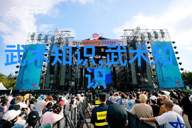 中国武术拳法精粹揭秘中国武术中各种独具特色的拳法